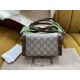 Gucci Horsebit 1955 mini bag  699296